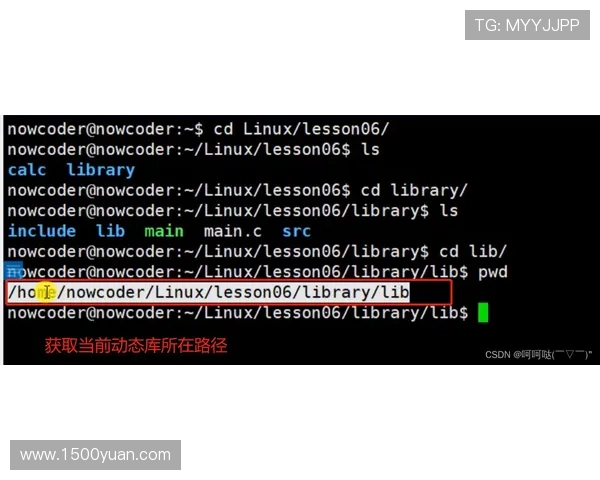 快速解决Z6D88登录遇到的各种问题，提供实用的故障排查与解决方案指南