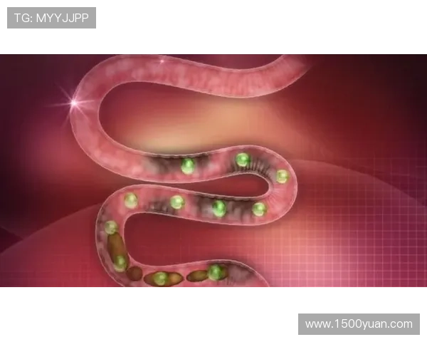 凯时KS国际官网入口提供多平台登录方式介绍,确保玩家随时随地畅享游戏乐趣 凯时KS国际官网入口提供多平台登录方式介绍,确保玩家随时随地畅享游戏乐趣